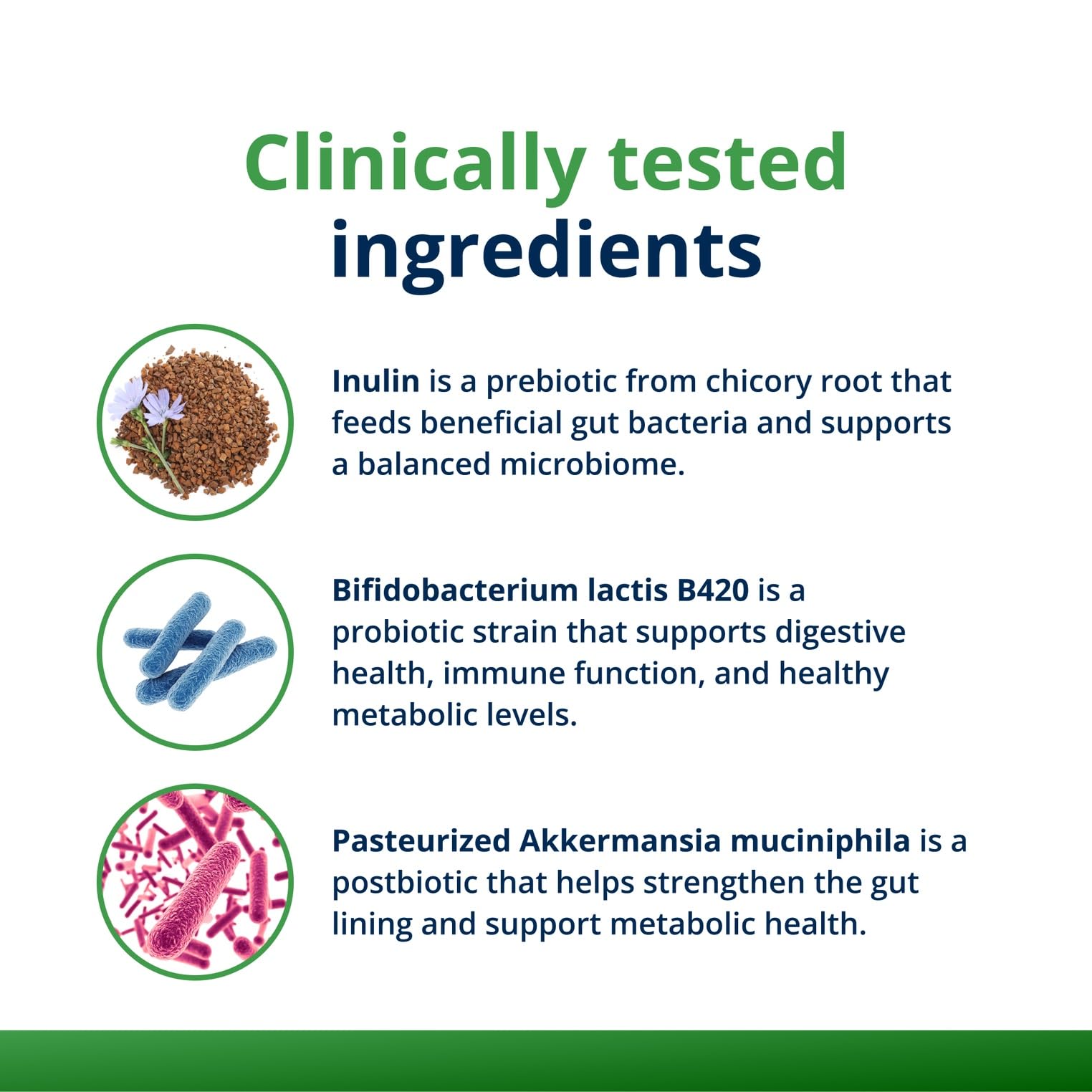 Gut microbiome and immune function concept