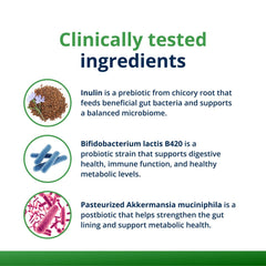 Gut microbiome and immune function concept