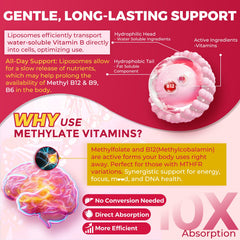 Gummy showing label with B6, B9, B12, CoQ10 and PQQ