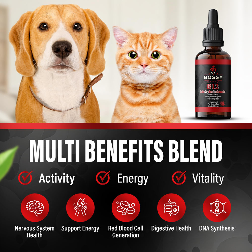 Methylcobalamin pet supplement in liquid form