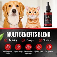 Methylcobalamin pet supplement in liquid form