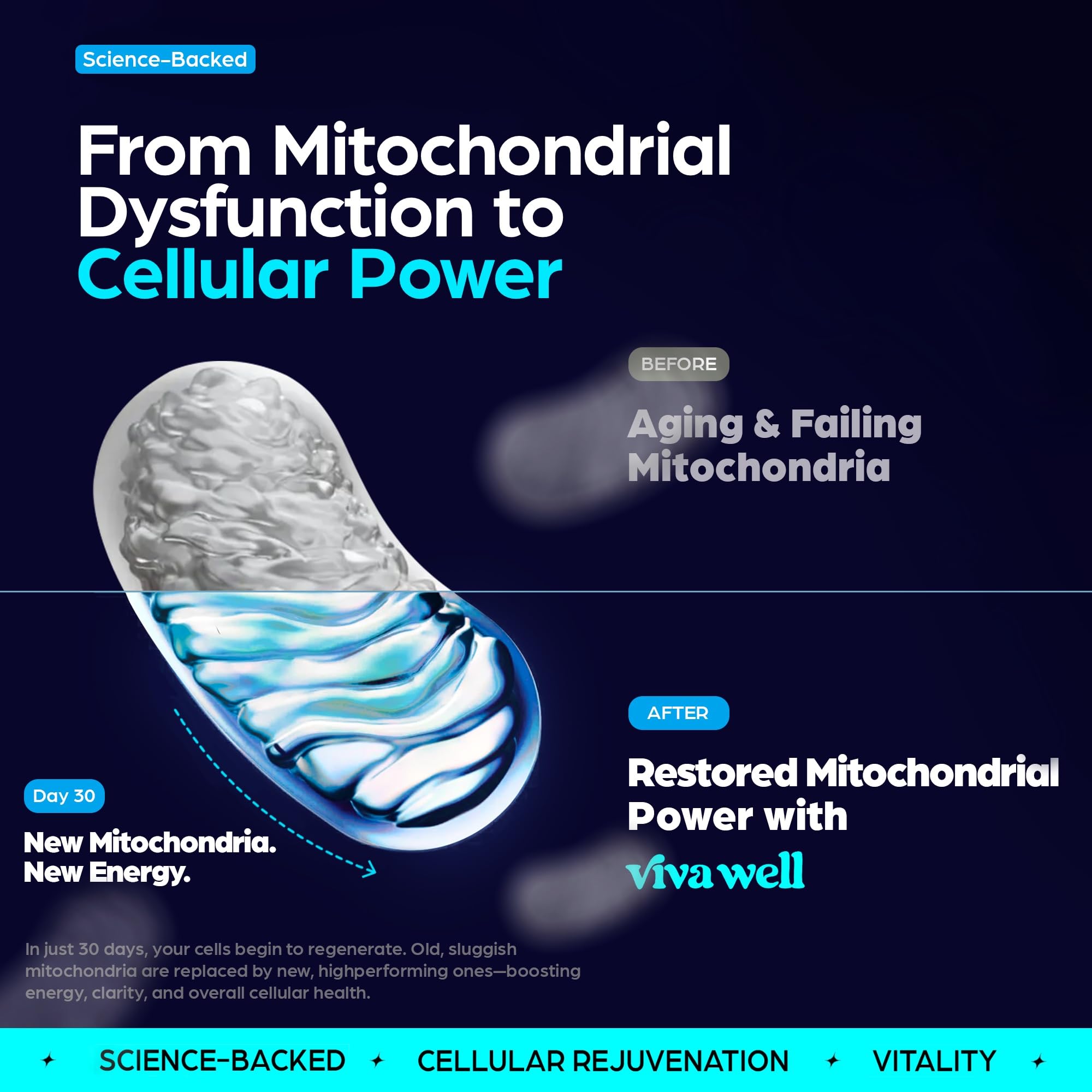 Label showing Methylene Blue Capsules with Magnesium Glycinate & Vitamin C