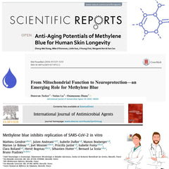 Graphic illustrating mitochondria and antioxidant activity