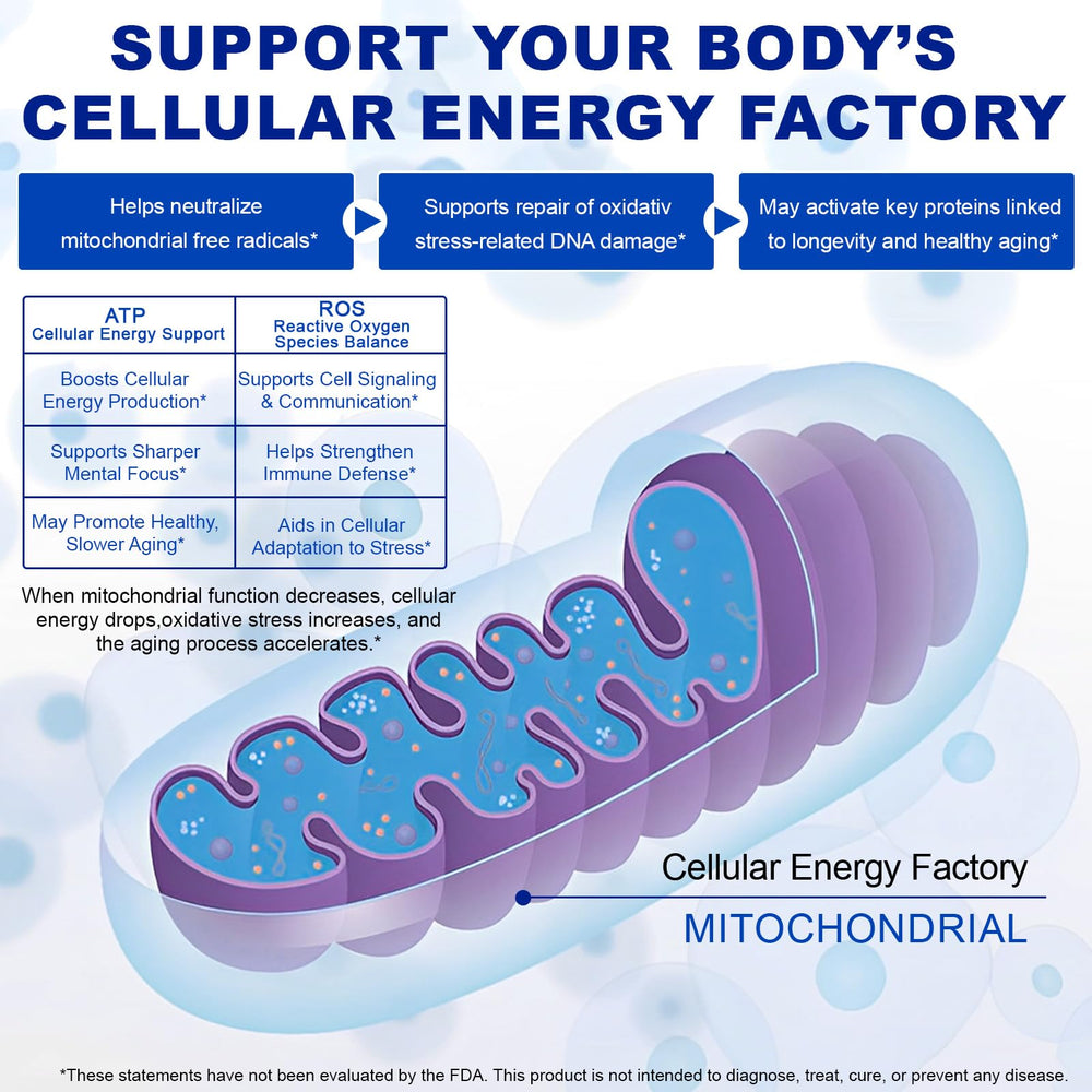 Side angle of 60-capule bottle