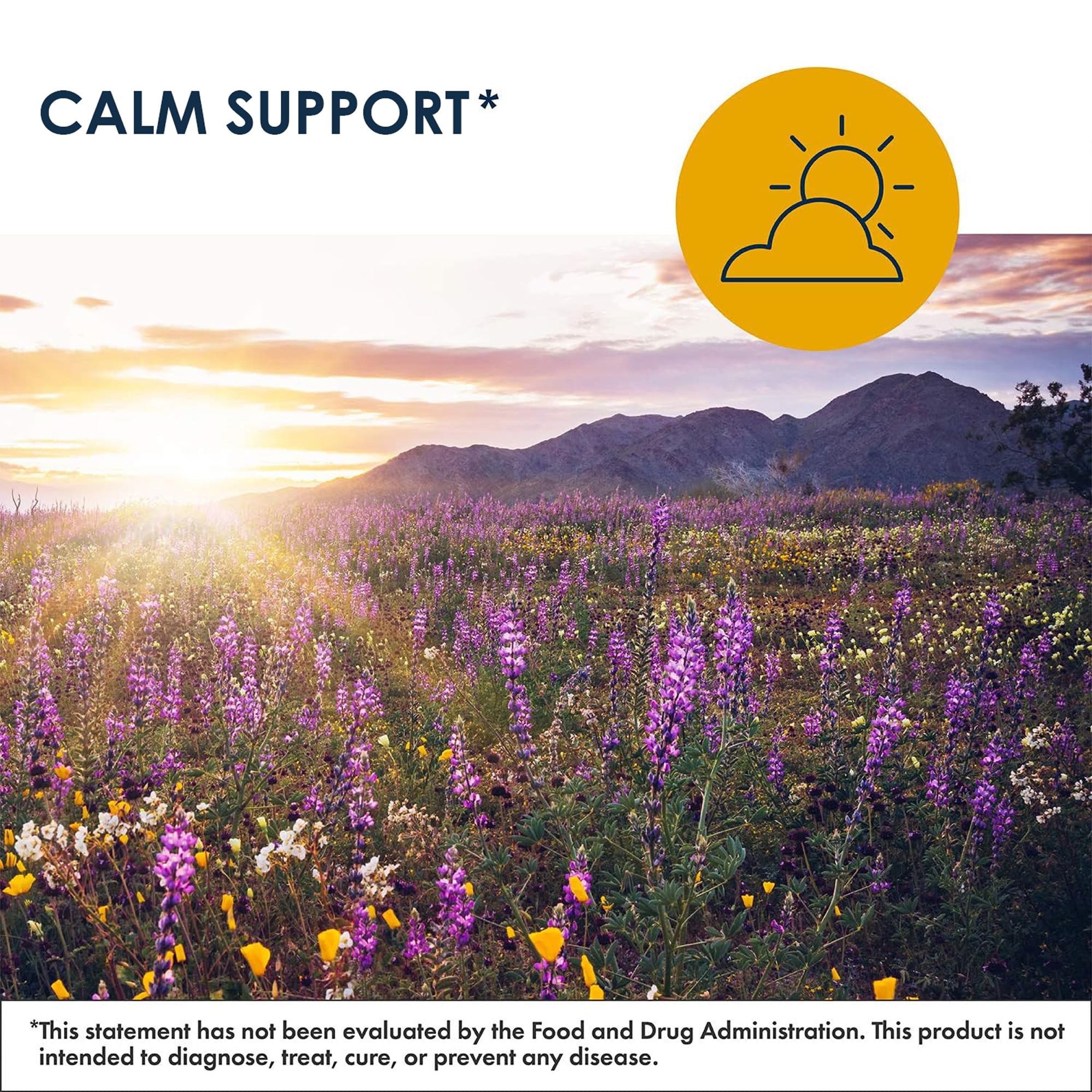 Key ingredients: GABA, L-Theanine, 5-HTP, B vitamins and minerals