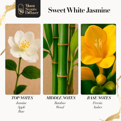 Miami Scents Diffuser Sweet White Jasmine in-room setup promoting refined fragrance