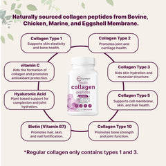 480 collagen capsules in the two-pack bottle