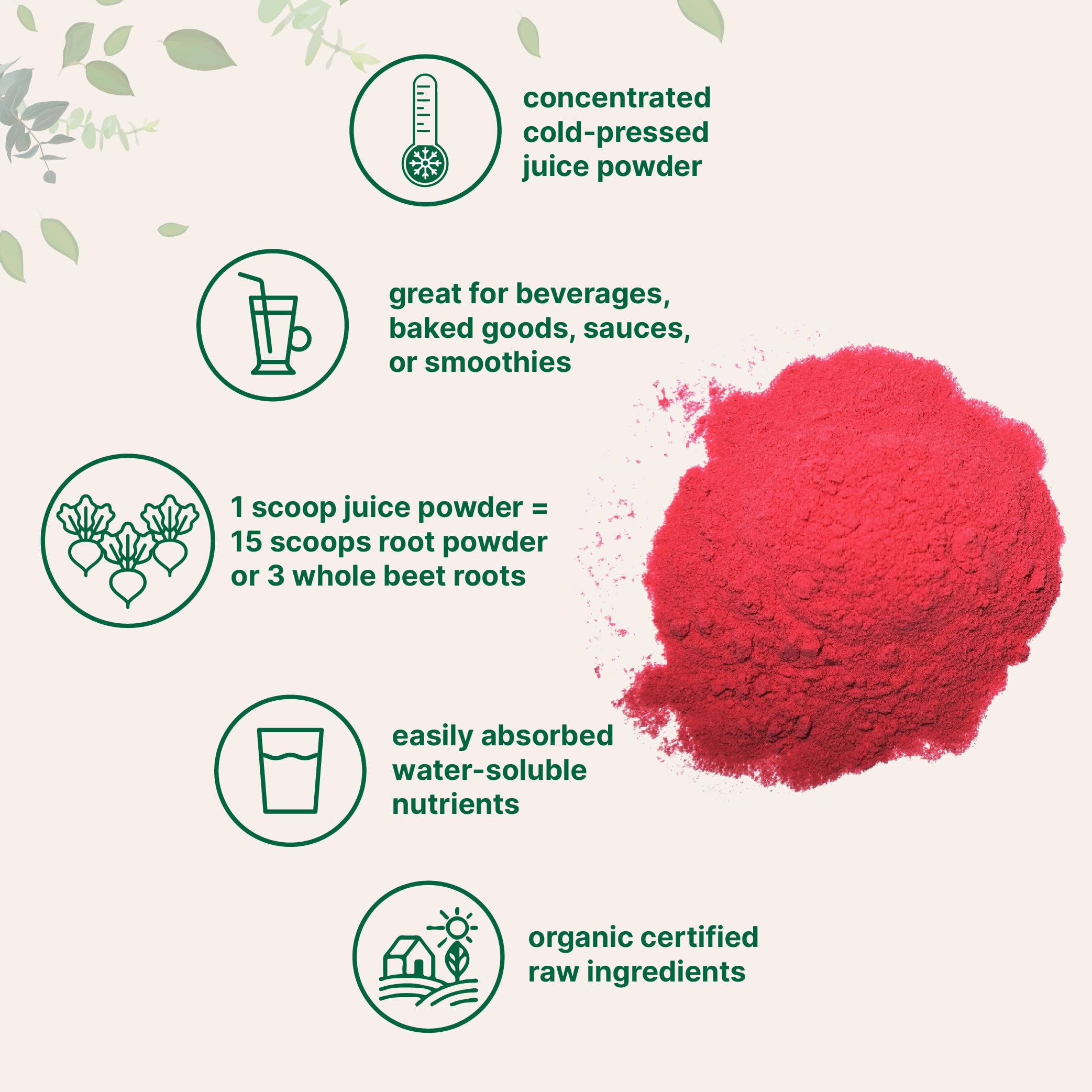 Nutrient-rich beet root powder nutrient profile