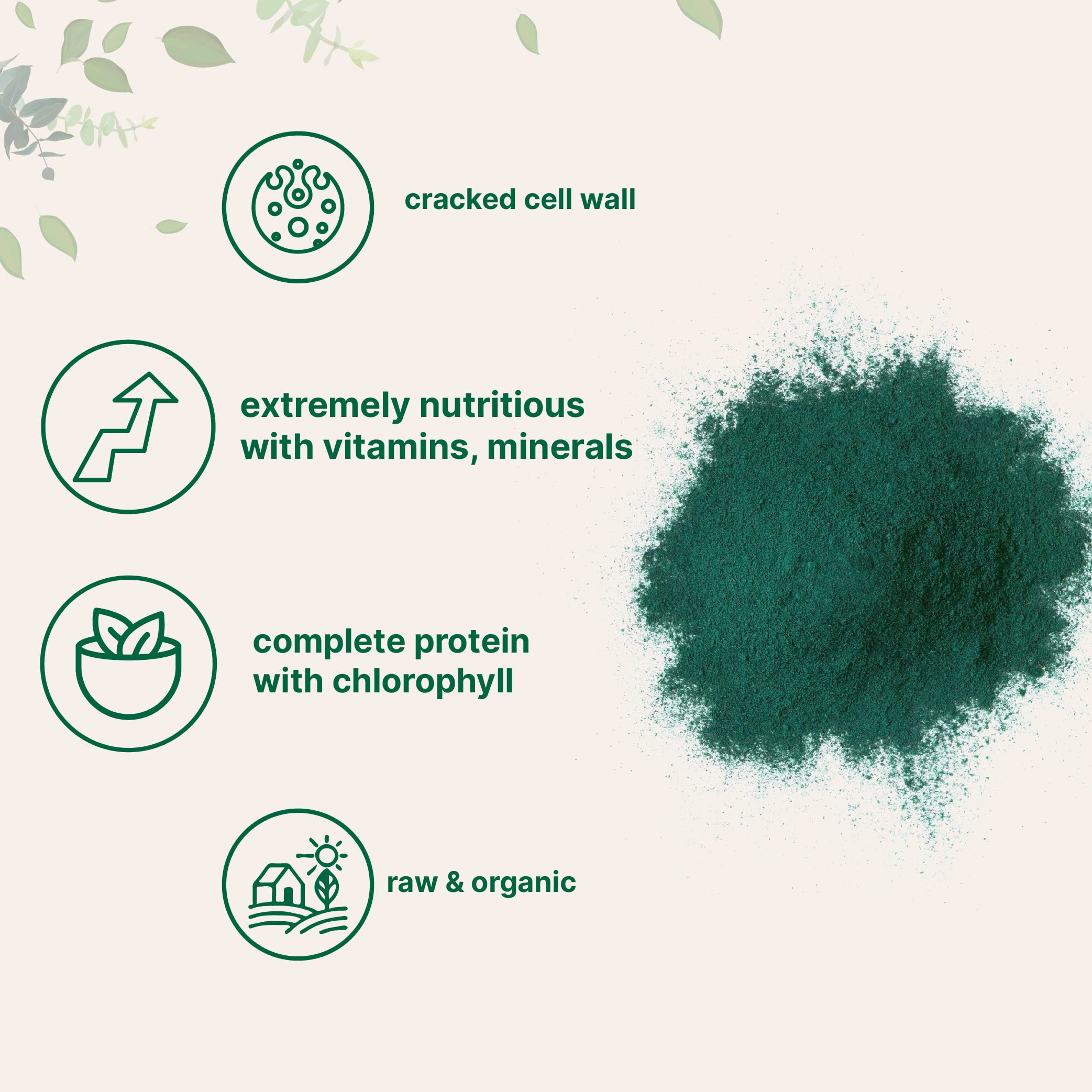 Premium organic chlorella powder by Micro Ingredients
