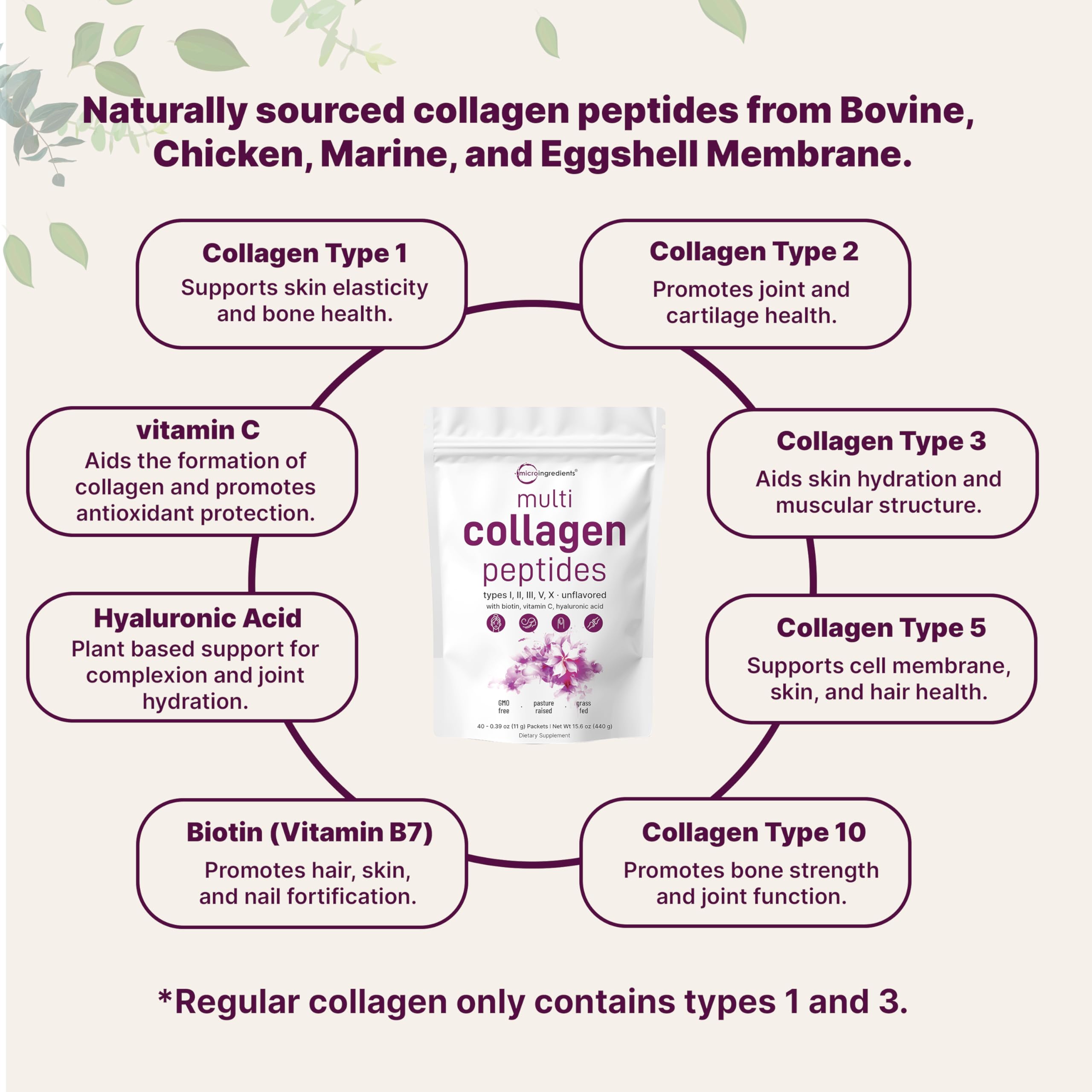 Micro Ingredients Collagen Types I–X represent a full-spectrum daily option.