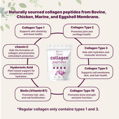 Micro Ingredients Collagen Types I–X represent a full-spectrum daily option.