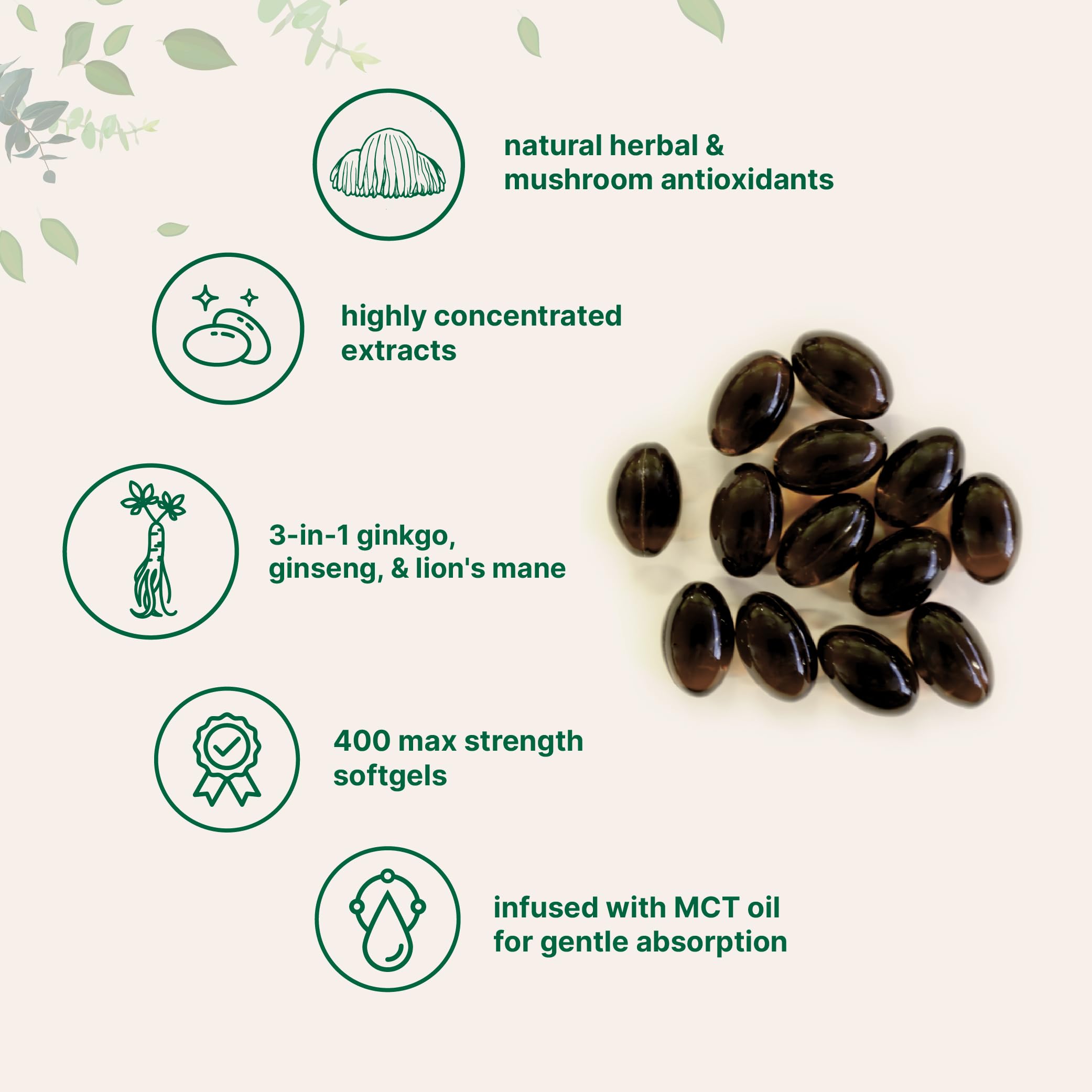 Packaging showing ginkgo biloba, ginseng, and lion’s mane extracts