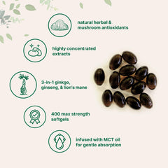 Packaging showing ginkgo biloba, ginseng, and lion’s mane extracts