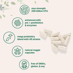 Illustration of 40 probiotic strains with prebiotics