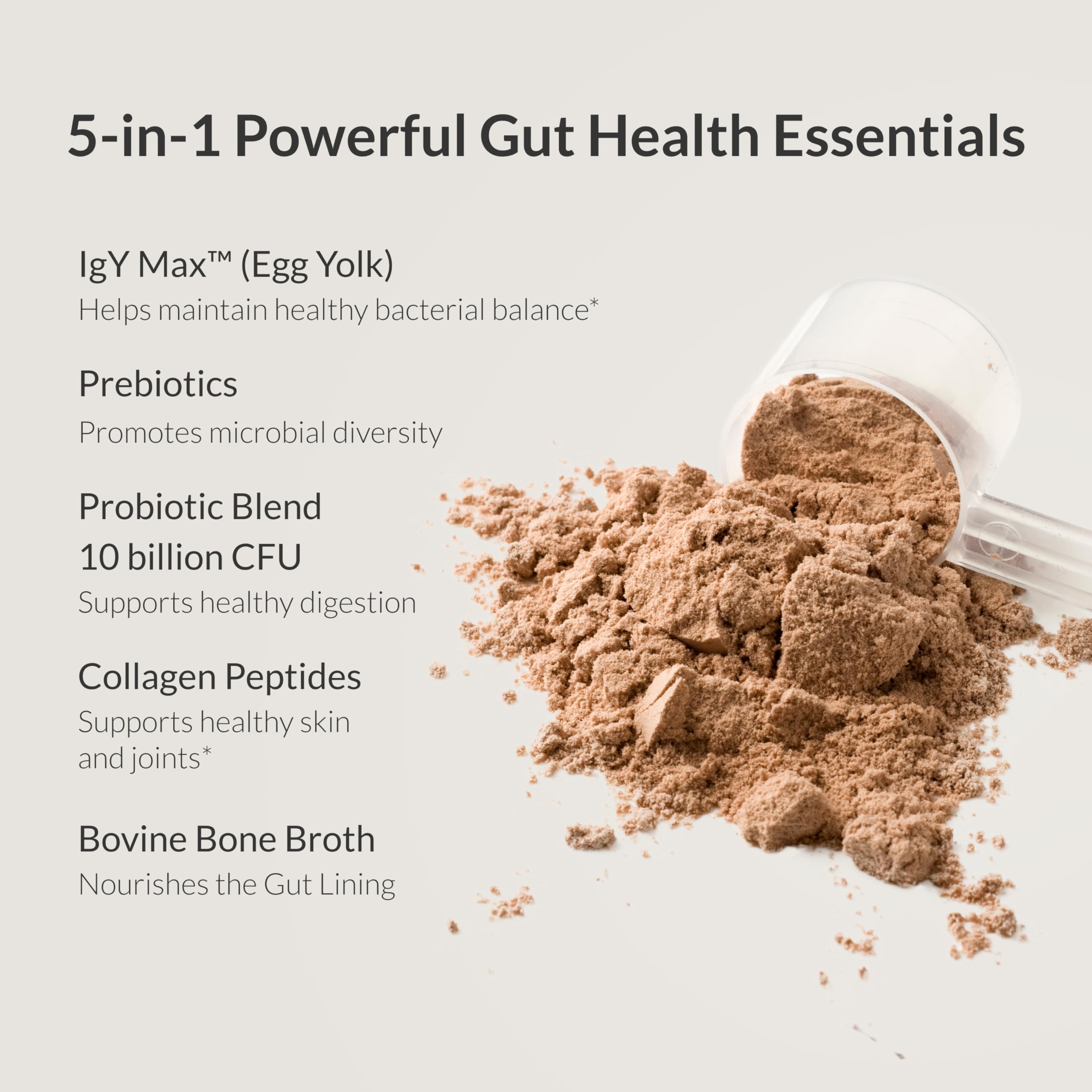 Illustration of Lactobacillus probiotic strains for gut health