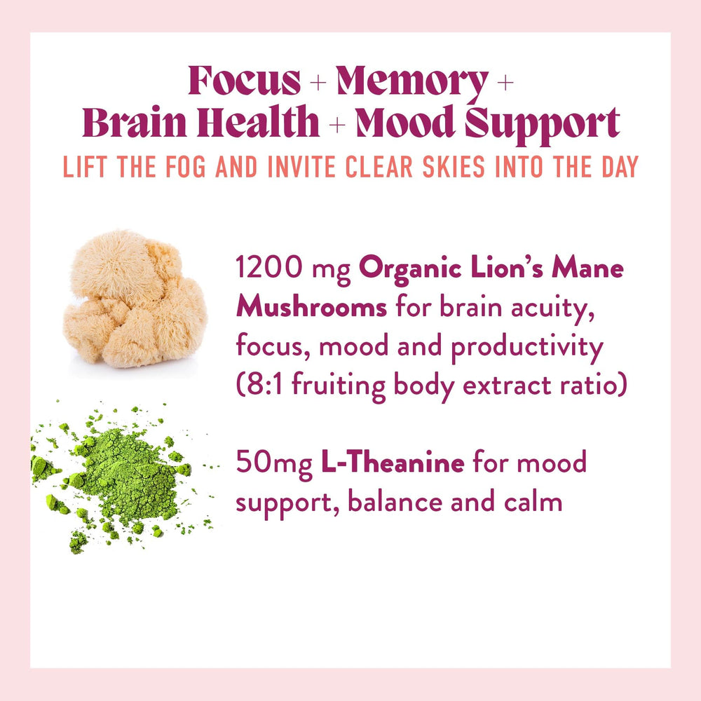 Ingredients highlight: Lion’s Mane extract and L-Theanine