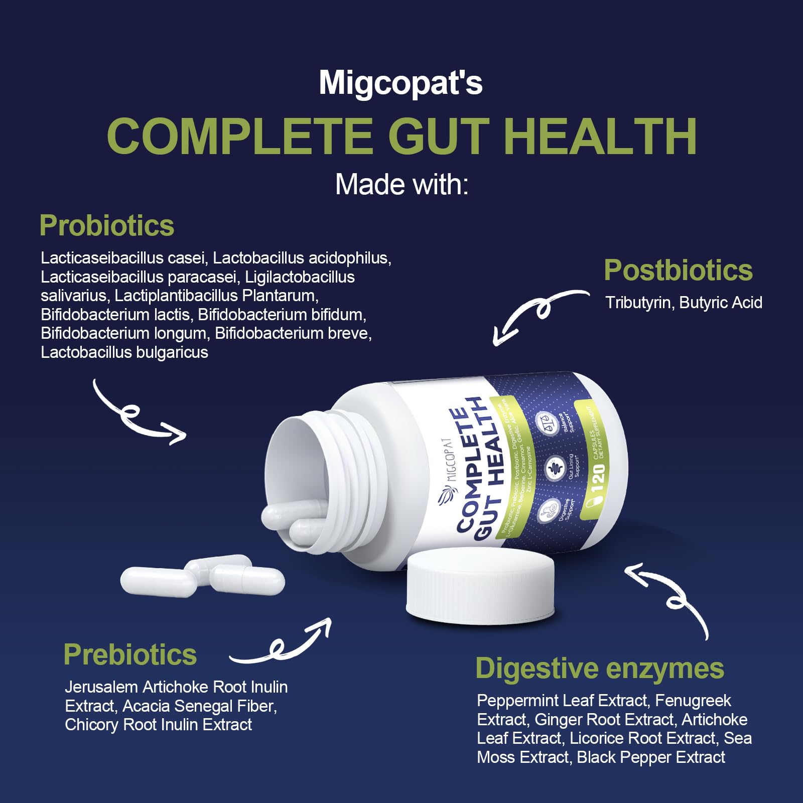L-Glutamine, Berberine, Cinnamon ingredients for gut health