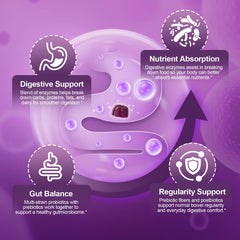 Migcopat 5-in-1 Probiotic Gummies bottle back nutrition label