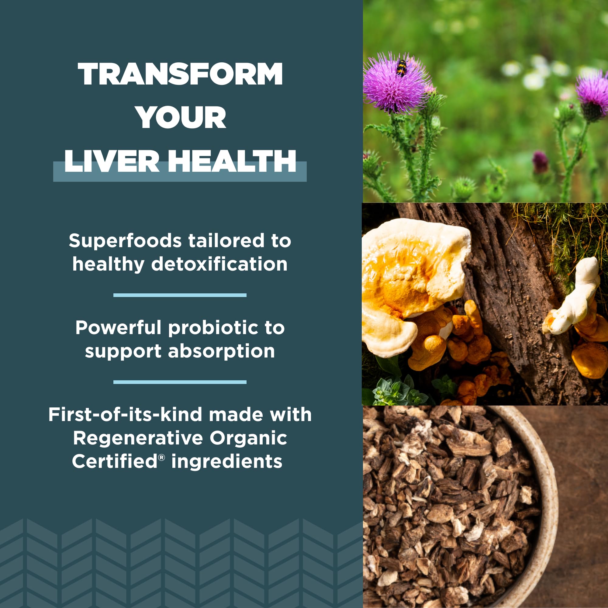 Milk Thistle, Burdock Root and Reishi ingredients for liver support