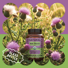 Milk thistle capsules and packaging arrangement
