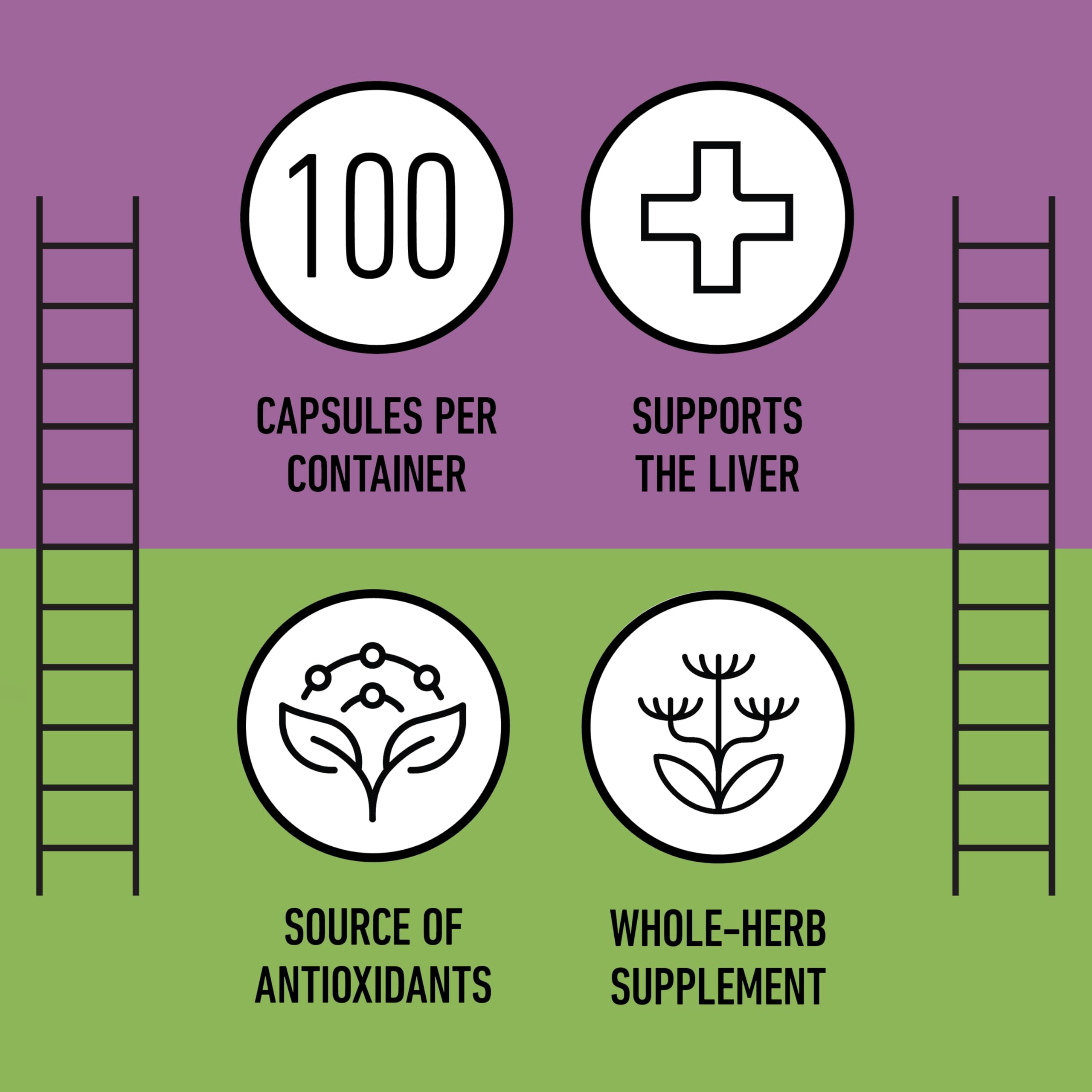Complete Natural Products milk thistle capsules pack of 2