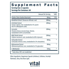 Close-up of milk thistle and curcumin ingredients in Liver Support