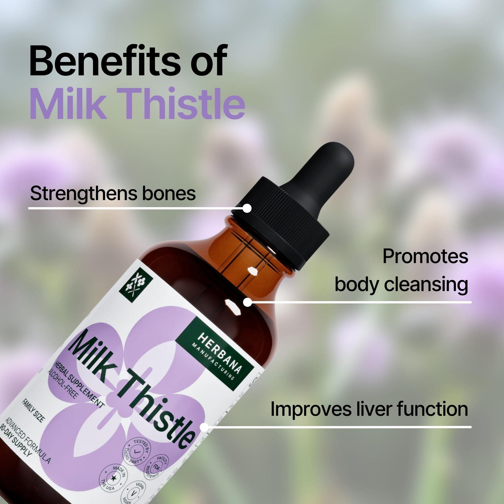 Milk Thistle tincture from Silybum marianum for detox