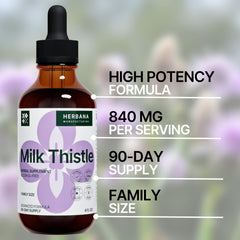 Milk Thistle drops supporting immune system