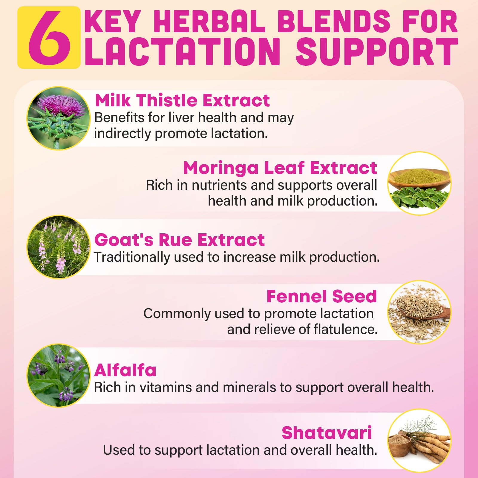 Milk Thistle, Moringa, Goat's Bean and Fennel Seed ingredients