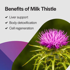 Non-GMO vegetarian milk thistle supplement product shot