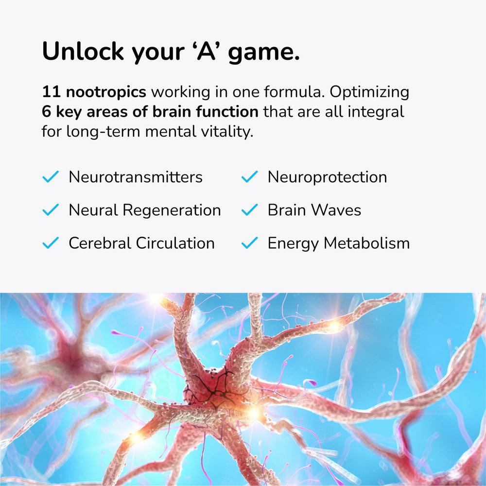 Cognitive performance boost graphic for Mind Lab Pro MLP v4