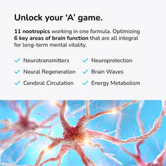 Cognitive performance boost graphic for Mind Lab Pro MLP v4