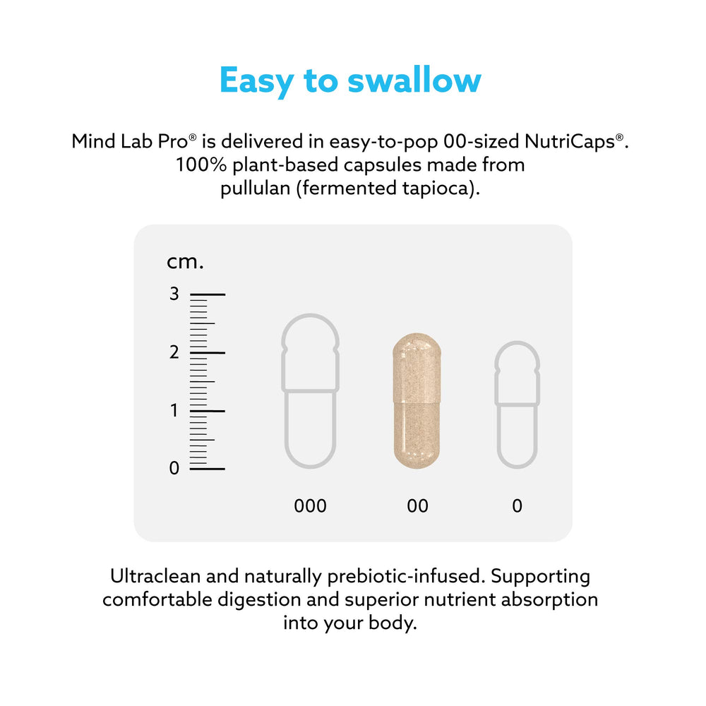 Vitamins B6, B9, and B12 in Mind Lab Pro MLP v4