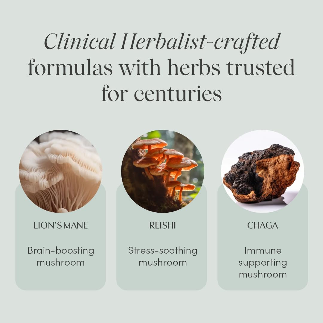 Reishi mushroom for cognitive support in Mind Over Matter