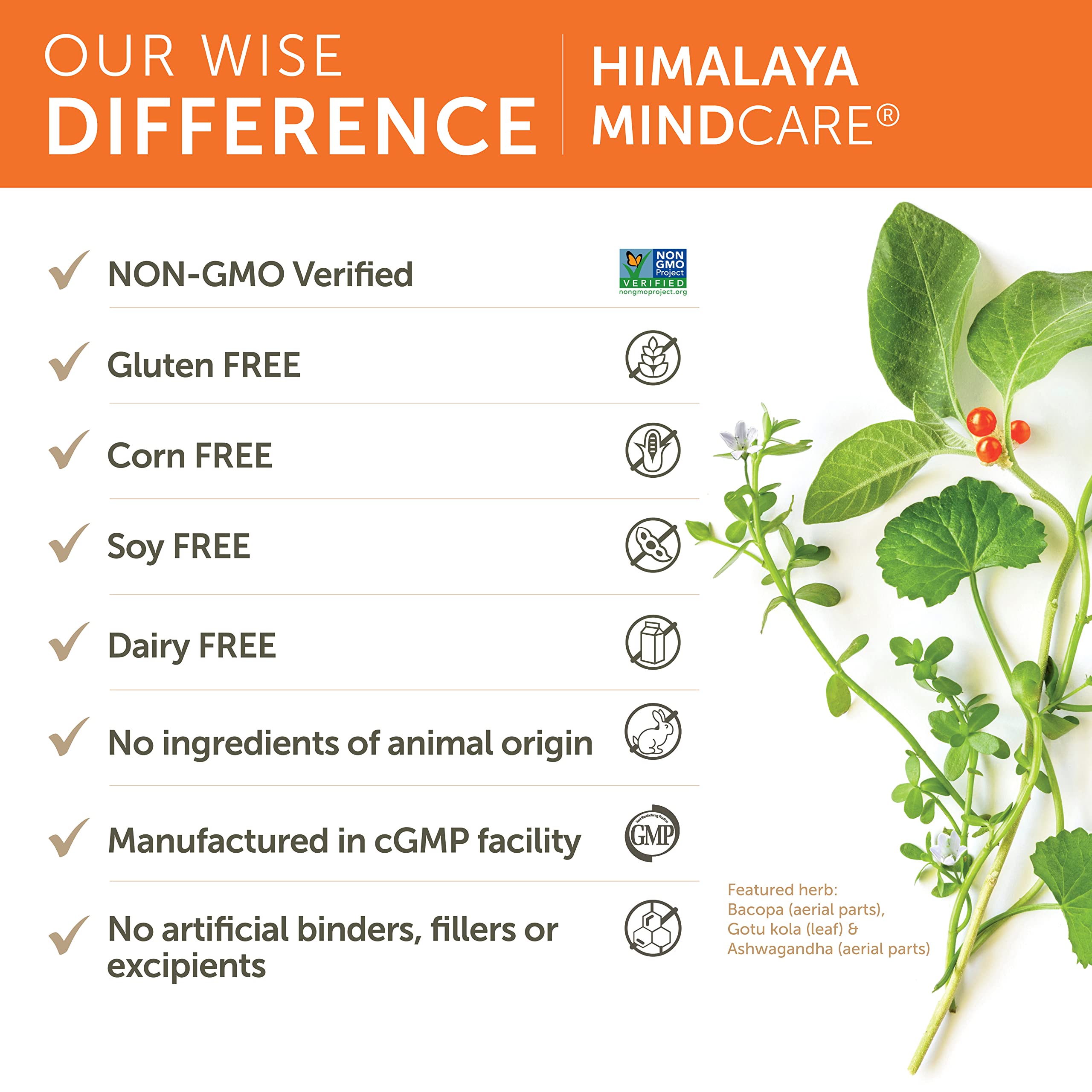 Bacopa herb used in MindCare formula