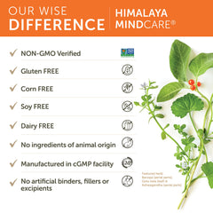 Bacopa herb used in MindCare formula
