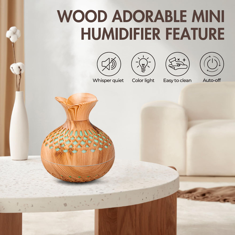 Office desk humidifier with two misting modes