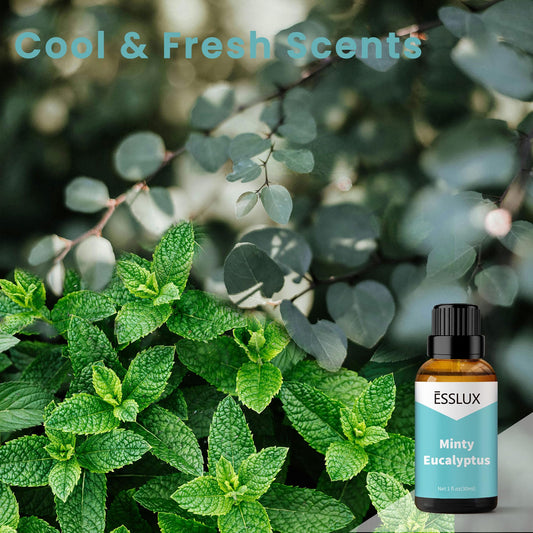 Close-up of mint and eucalyptus scent notes