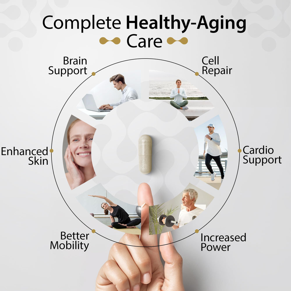DNA repair and healthy aging concept