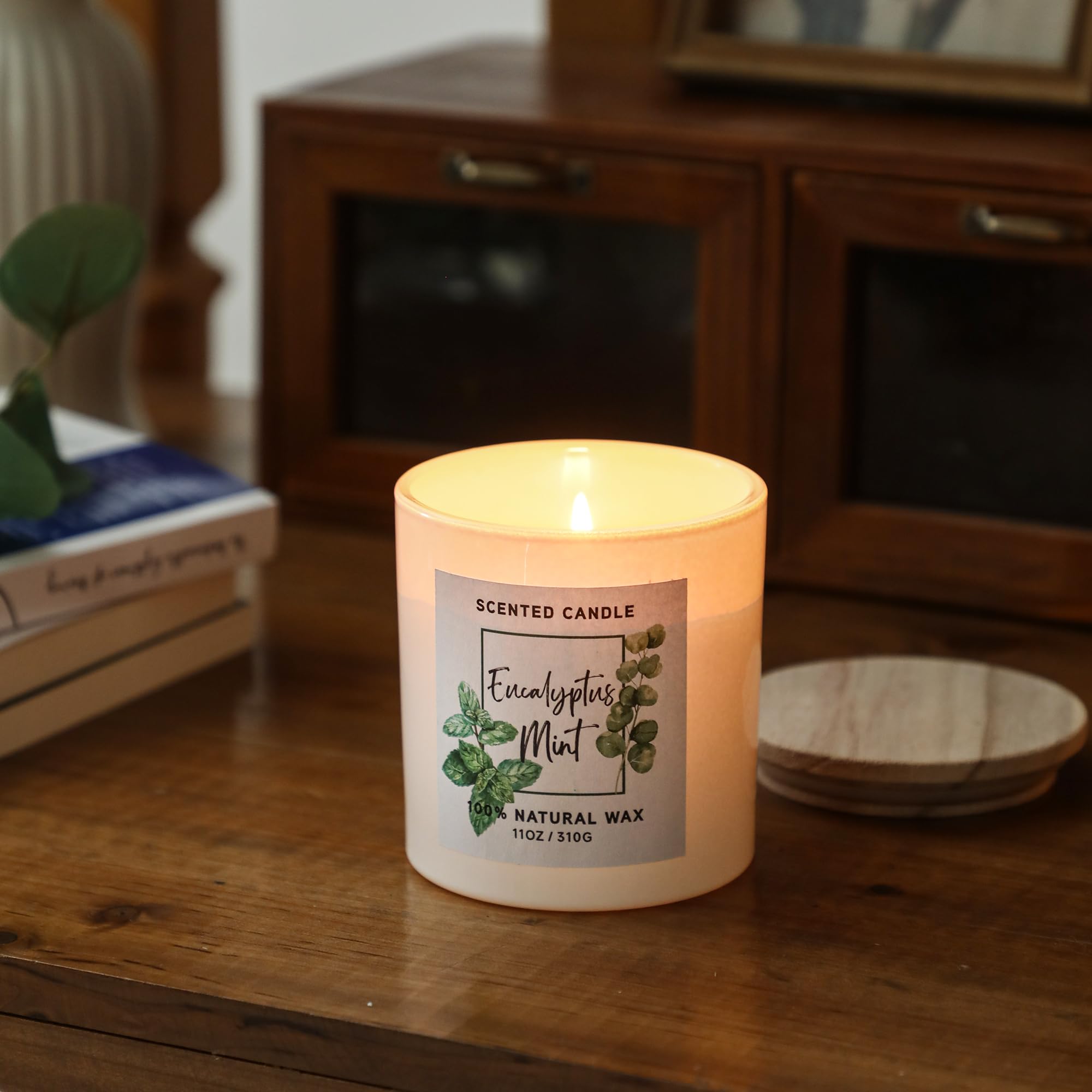 MIRASCENTS eucalyptus-mint candle in room demonstrates stylish decor and refreshing scent.