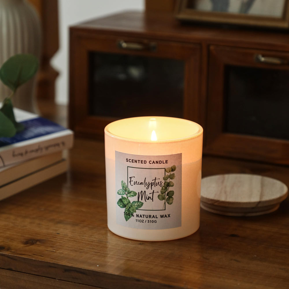 MIRASCENTS eucalyptus-mint candle in room demonstrates stylish decor and refreshing scent.