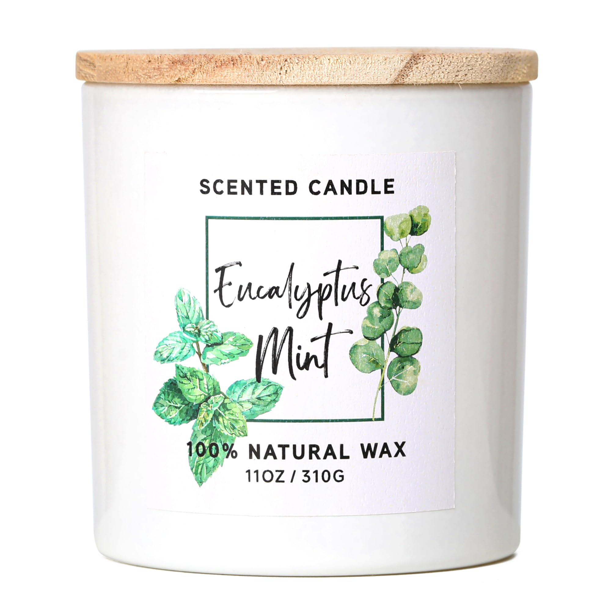 MIRASCENTS eucalyptus-mint candle in jar enhances ambience with spa-like scent.
