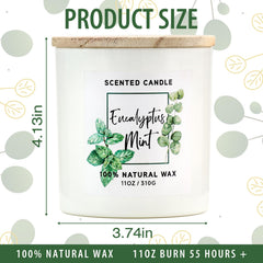 MIRASCENTS eucalyptus-mint candle soy-wax close-up shows clean burn and fragrance.