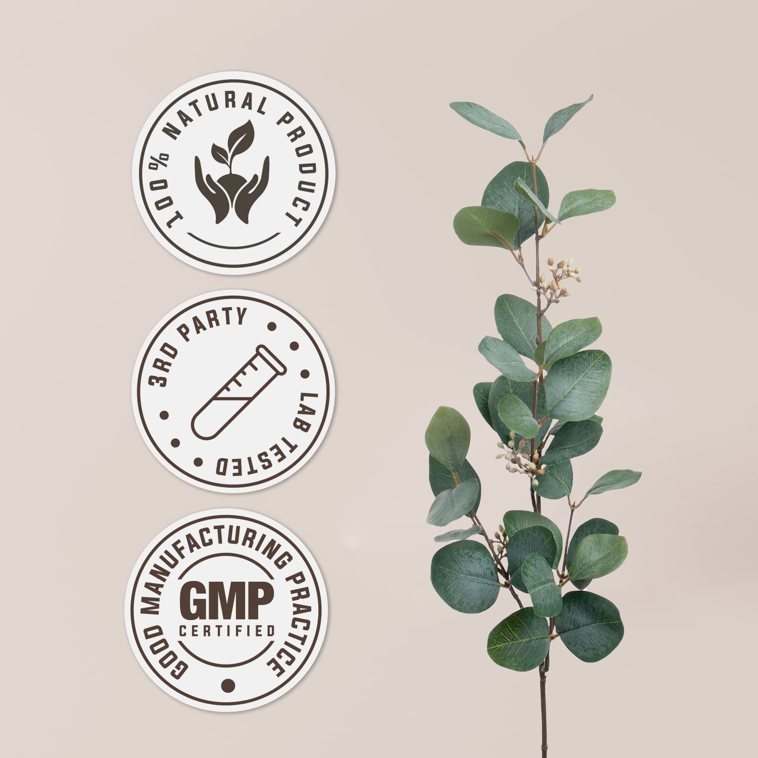 Lab-tested purity certificate for mistletoe extract