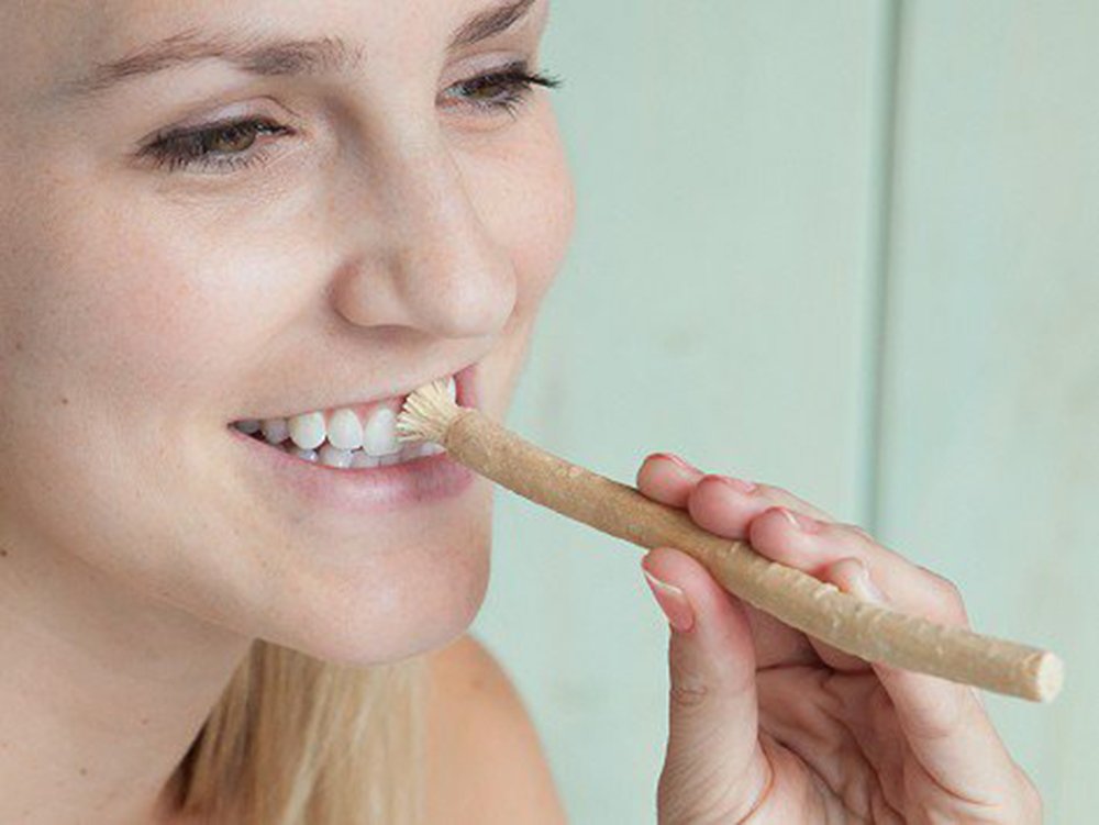 Natural toothbrush included in Miswak Club kit