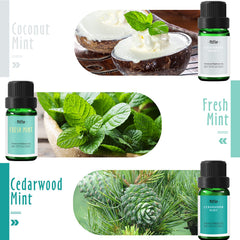 MitFlor cedarwood-mint bottle with woody note for calming ambiance.