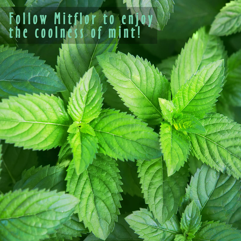 MitFlor fresh-mint bottle showcasing mint scent for DIY candles.