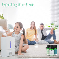 MitFlor lime-mint bottle with bright citrus twist for energizing rooms.