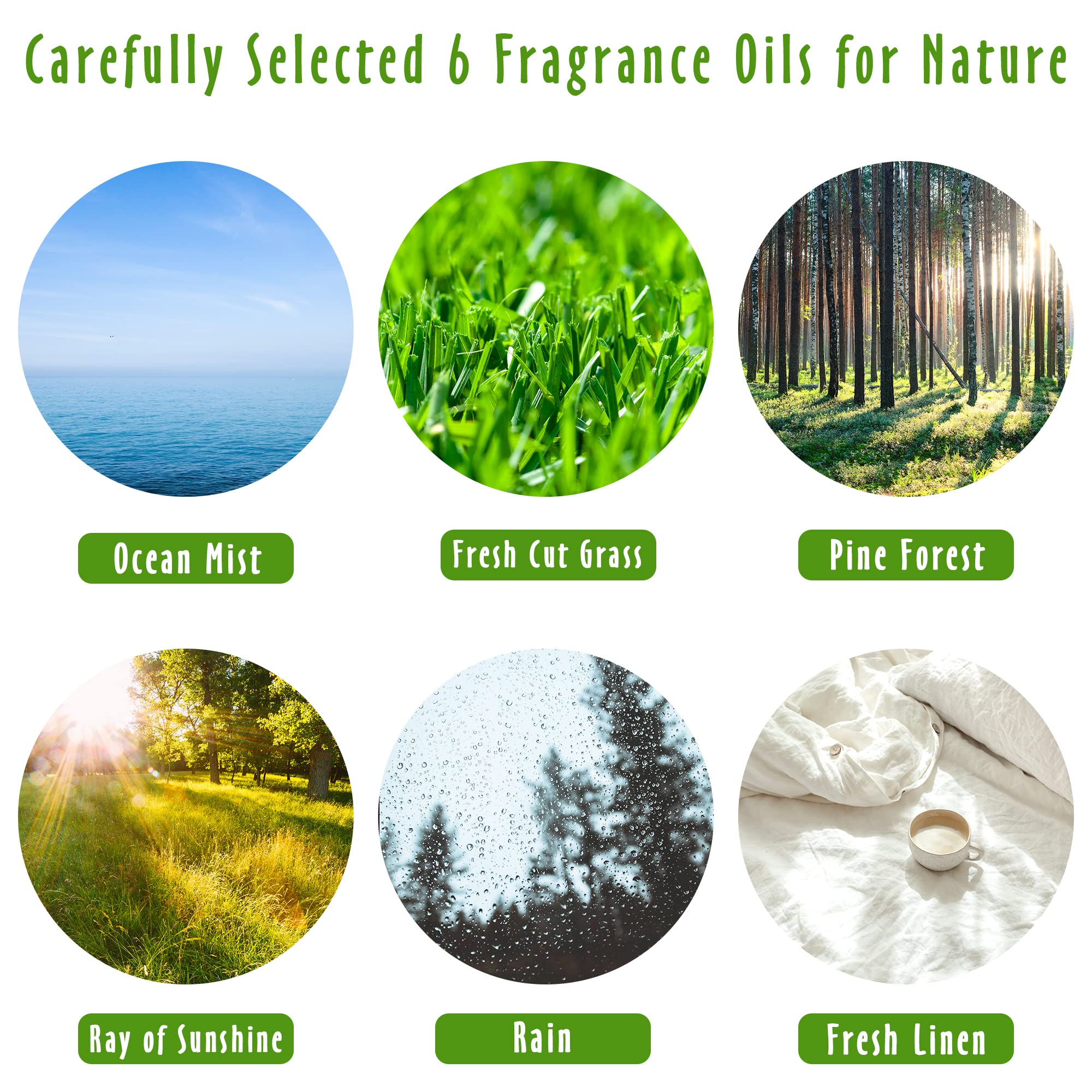 Rain fragrance oil bottle 10ml