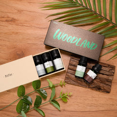Oakmoss Amber scented oil bottle (10ml)